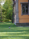 image01